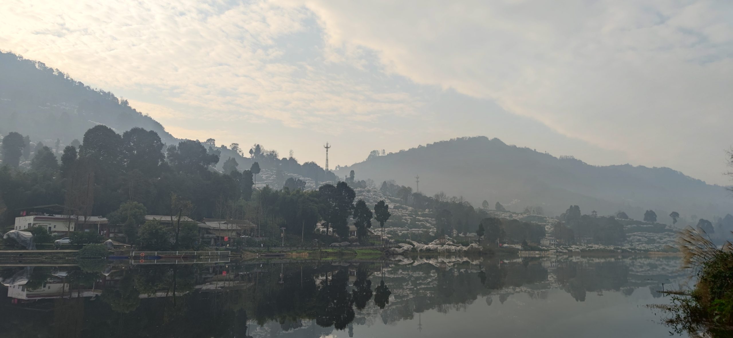 1739362236-IMG_20250129_095205