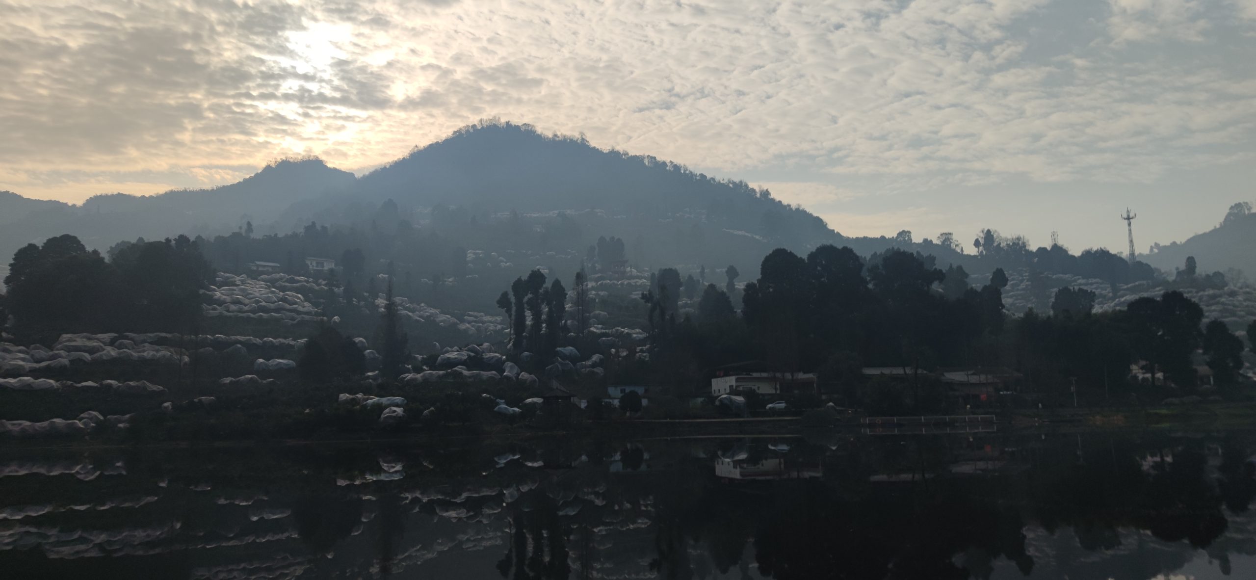 1739362240-IMG_20250129_095155