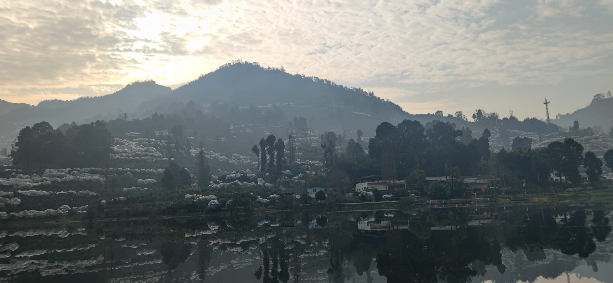 1739362244-IMG_20250129_095151